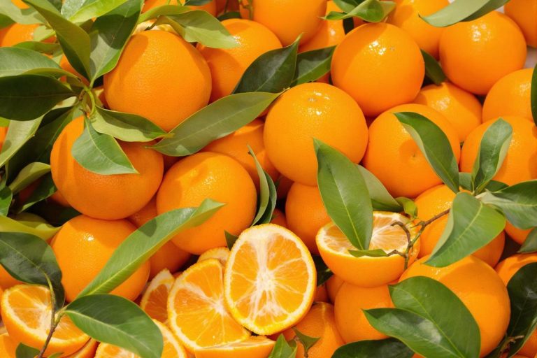 Clémentines Jaffa : goût unique et origine israélienne.jpg