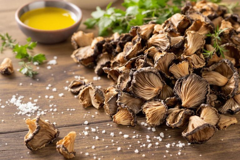 Cuisiner avec des cèpes séchés : astuces et recettes.jpg