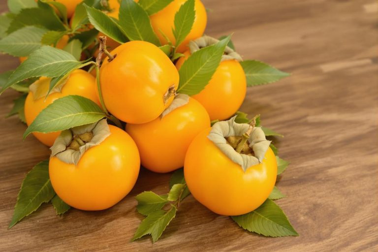 Découvrez le fruit kaki-pomme et ses bienfaits uniques.jpg