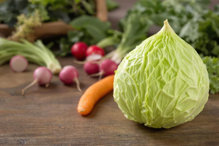 Le chou pointue : un légume versatile et nutritif.jpg