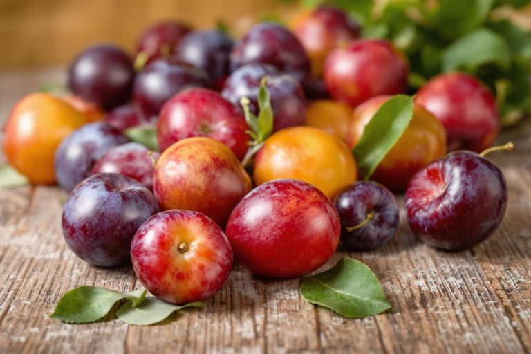 Les prunes : bienfaits, variétés et usages en cuisine.jpg