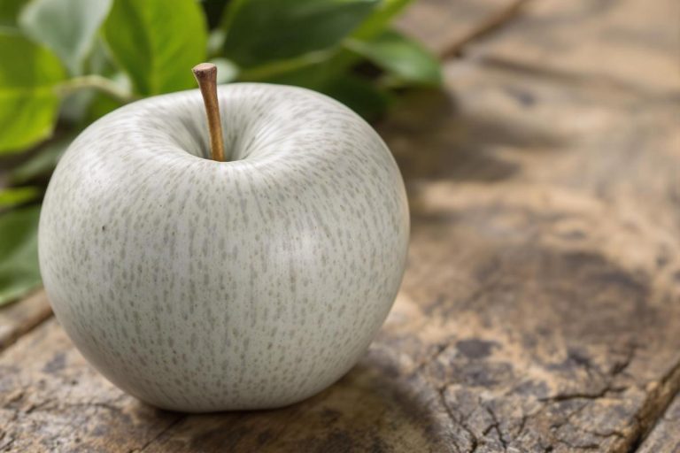 Pomme grise du Canada : variété ancienne et savoureuse.jpg