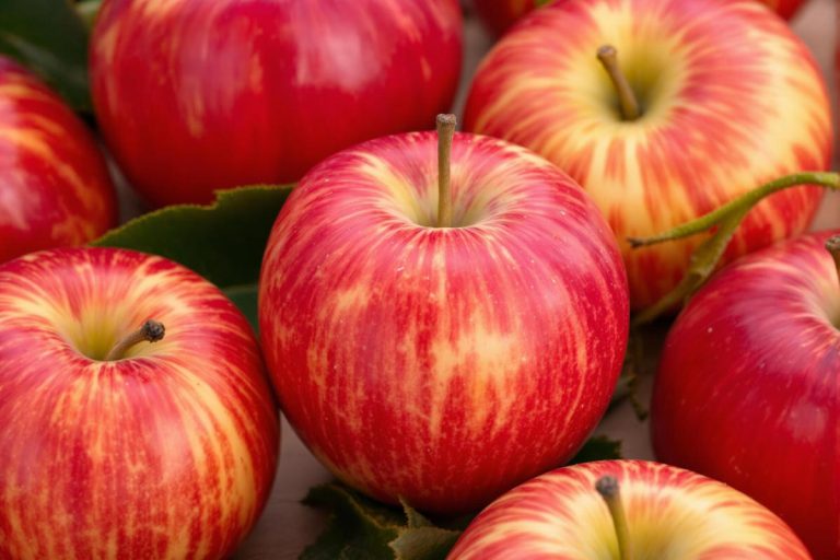 Pommes Fuji : Saveurs, Utilisations et Bienfaits.jpg