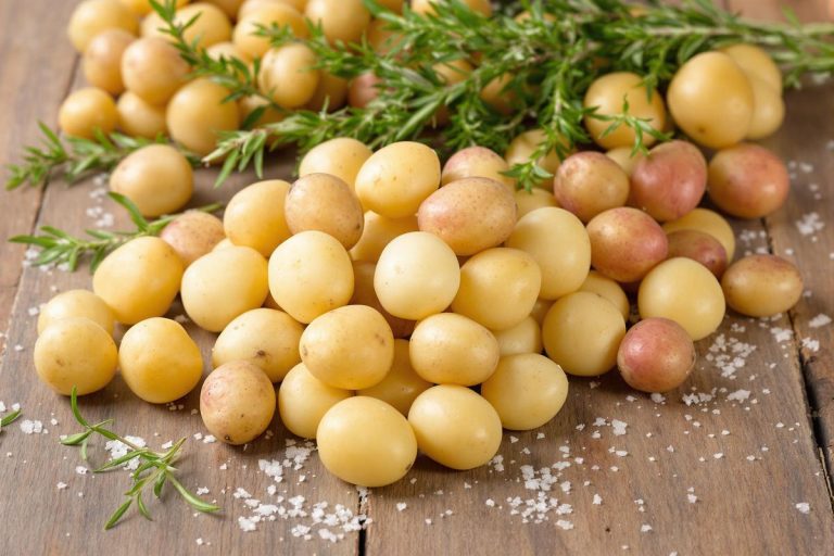 Pommes de terre grenailles : culture et bienfaits santé.jpg