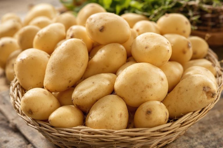 Pommes de terre nouvelles : astuces, variétés et recettes.jpg