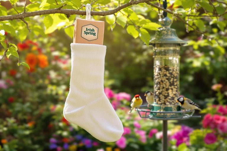 Un savon dans une chaussette : la stratégie surprenante pour protéger les oiseaux de votre jardin.jpg
